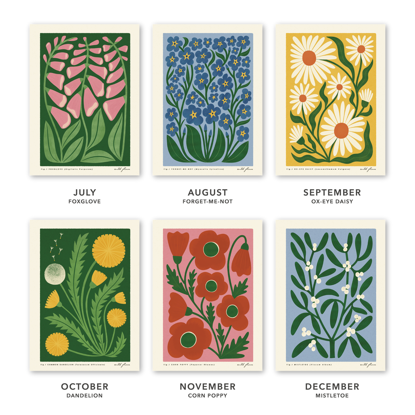 2026 Wild Flora Wall Calendar