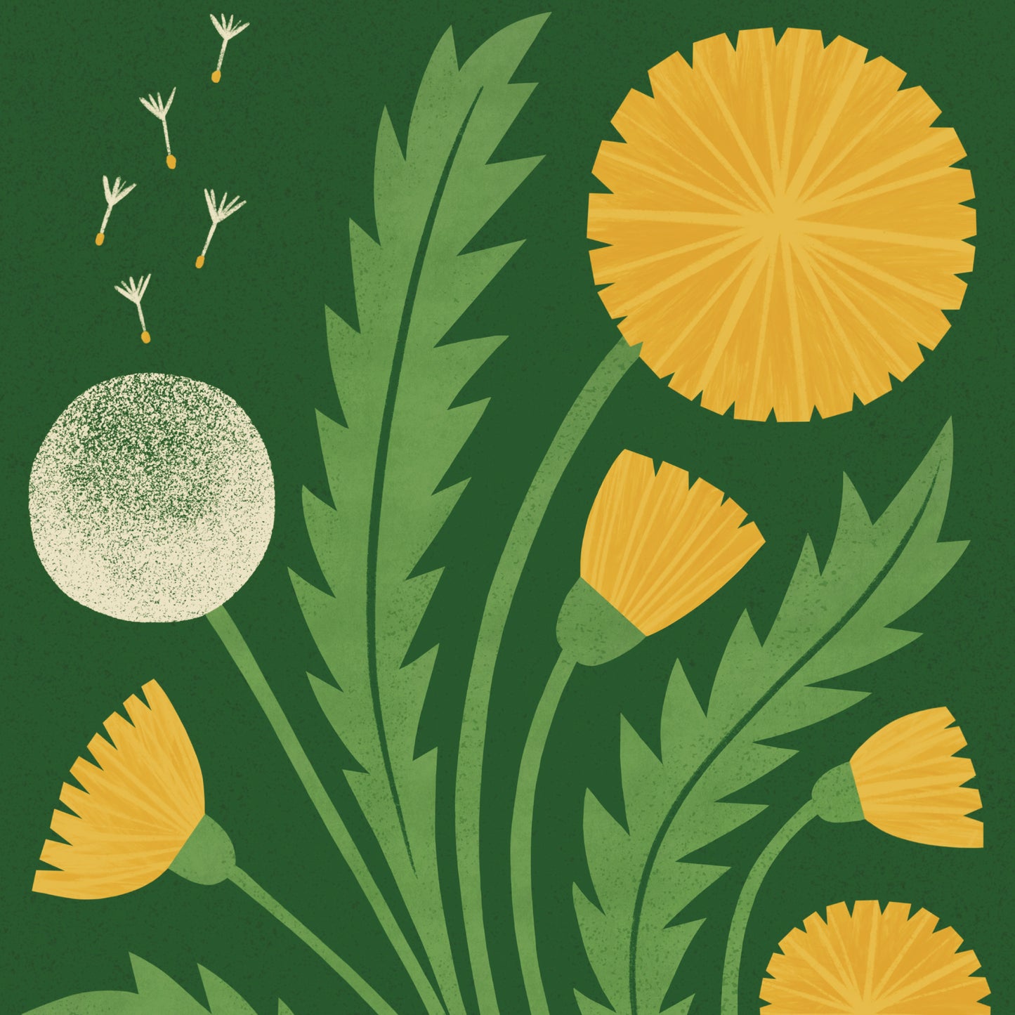 Dandelion Art Print