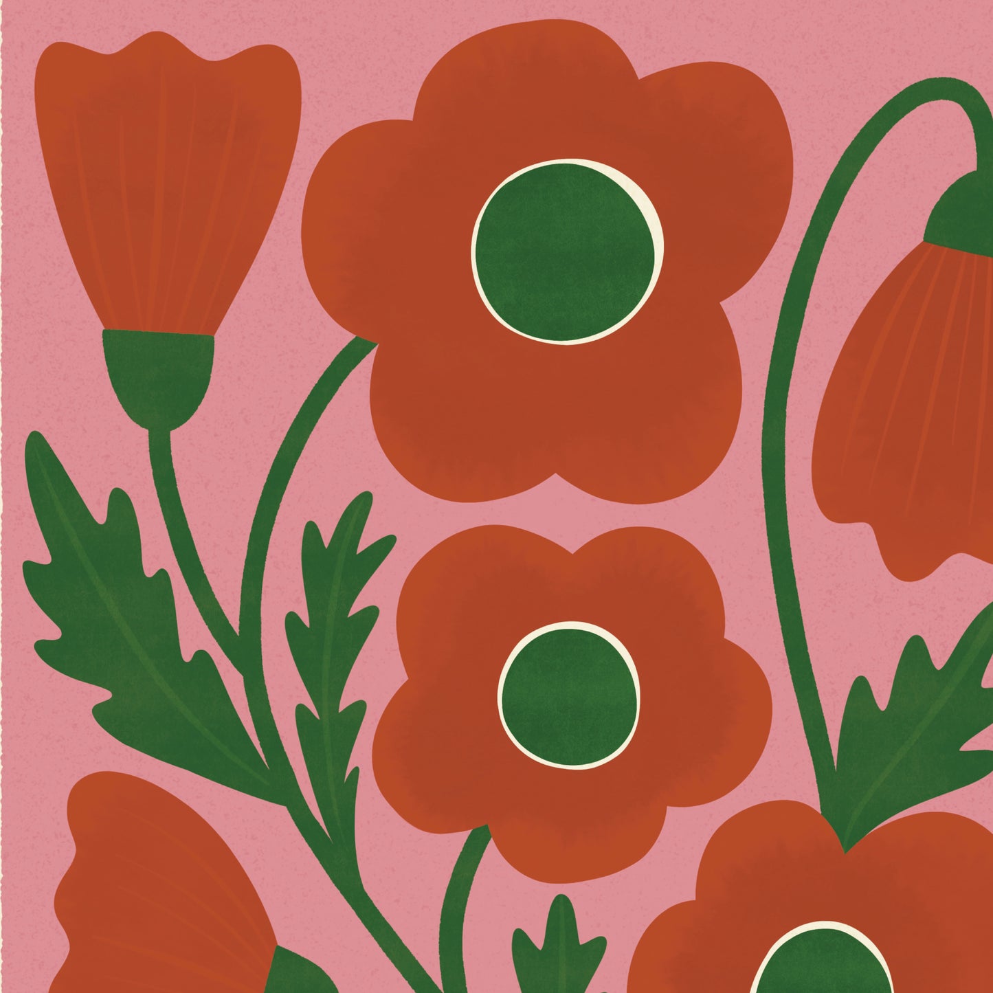 Corn Poppy Art Print