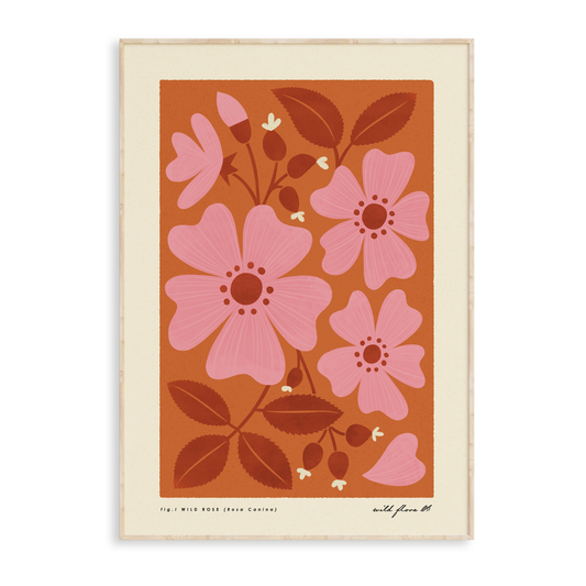 Wild Rose Art Print