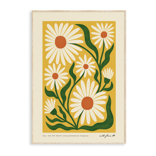 Ox-Eye Daisy Art Print