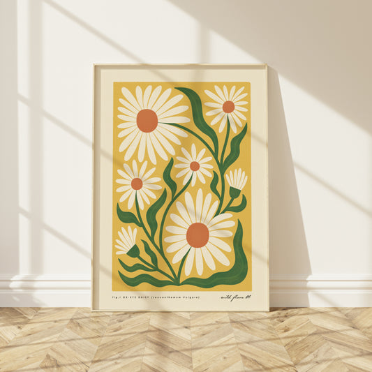 Ox-Eye Daisy Art Print