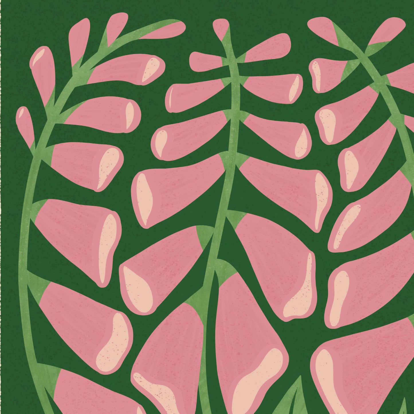 Foxglove Art Print