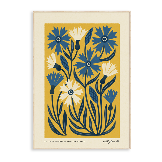 Cornflower Art Print