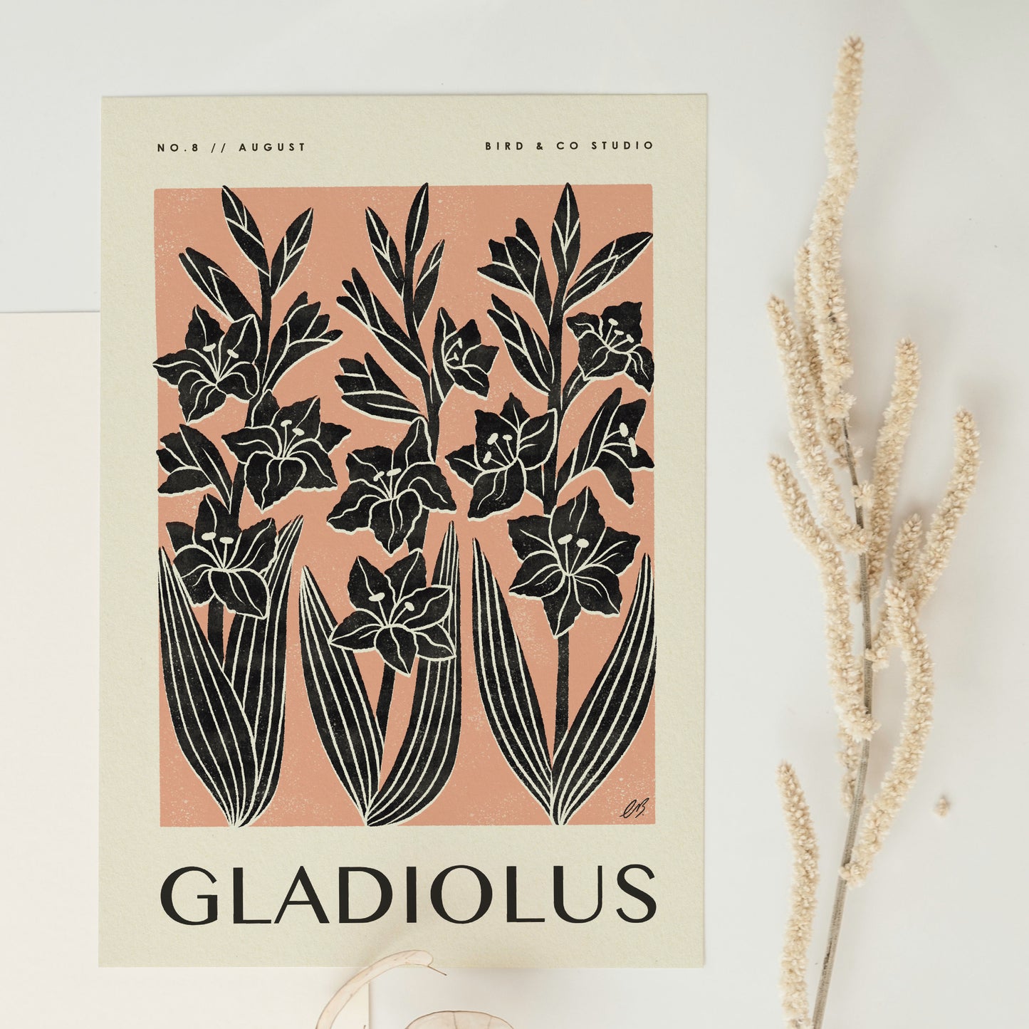 August Gladiolus Art Print