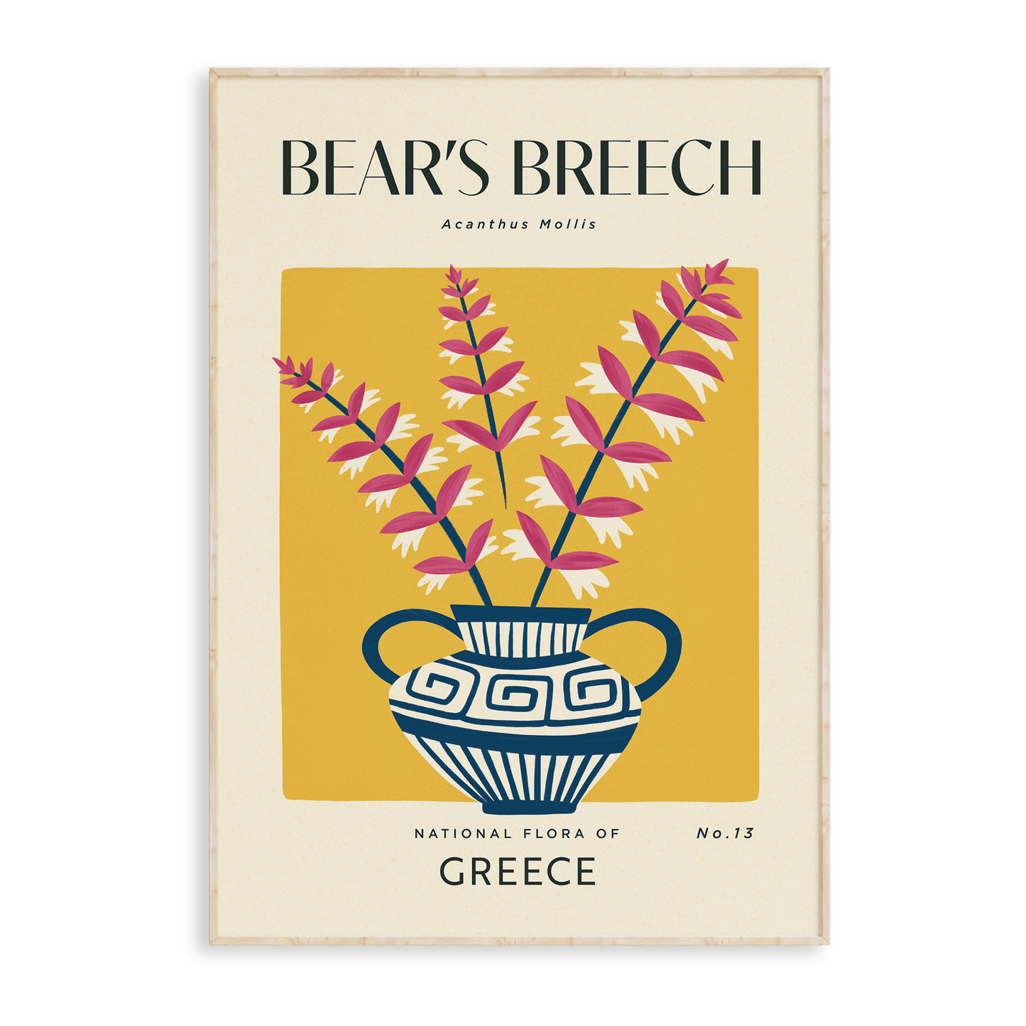 Bear's Breech of Greece Art Print
