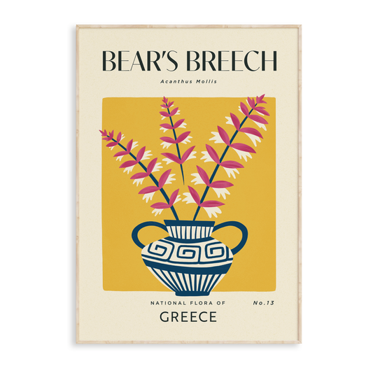Bear's Breech of Greece Art Print