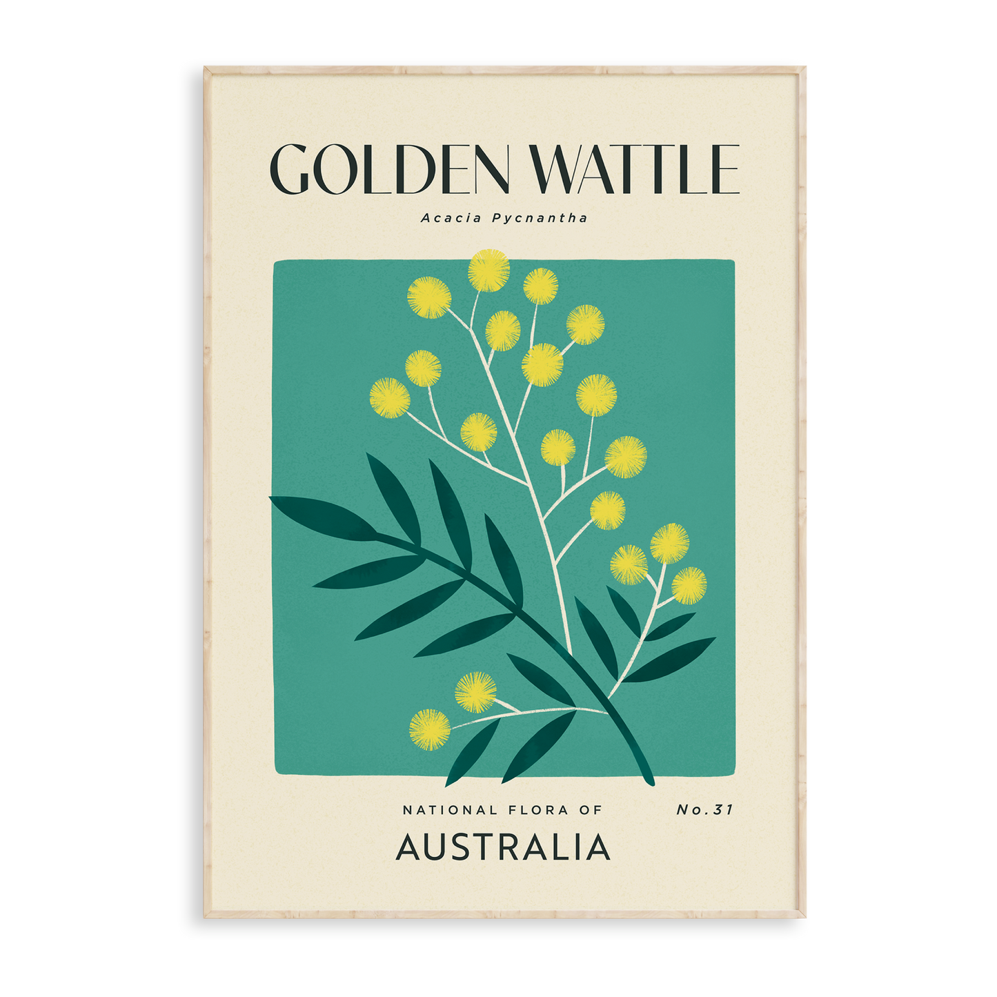 Golden Wattle of Australia Art Print