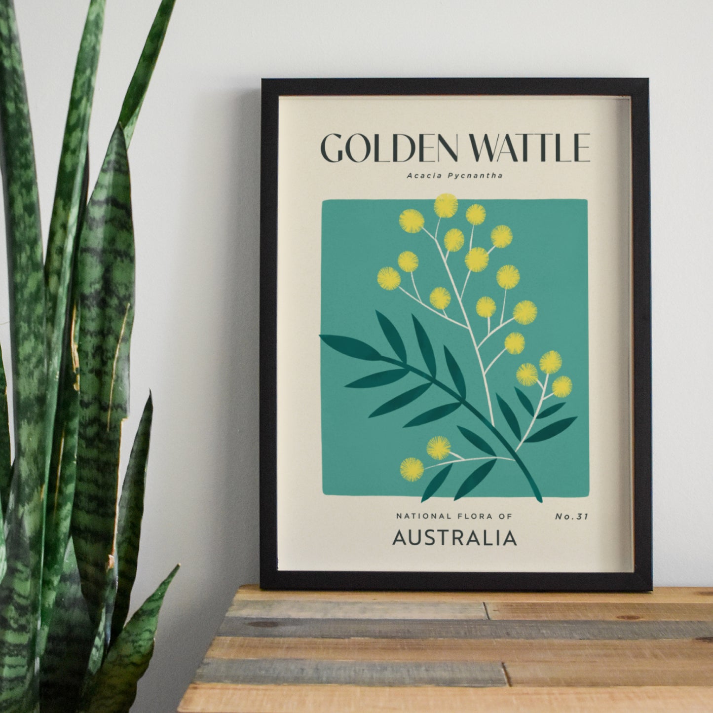 Golden Wattle of Australia Art Print