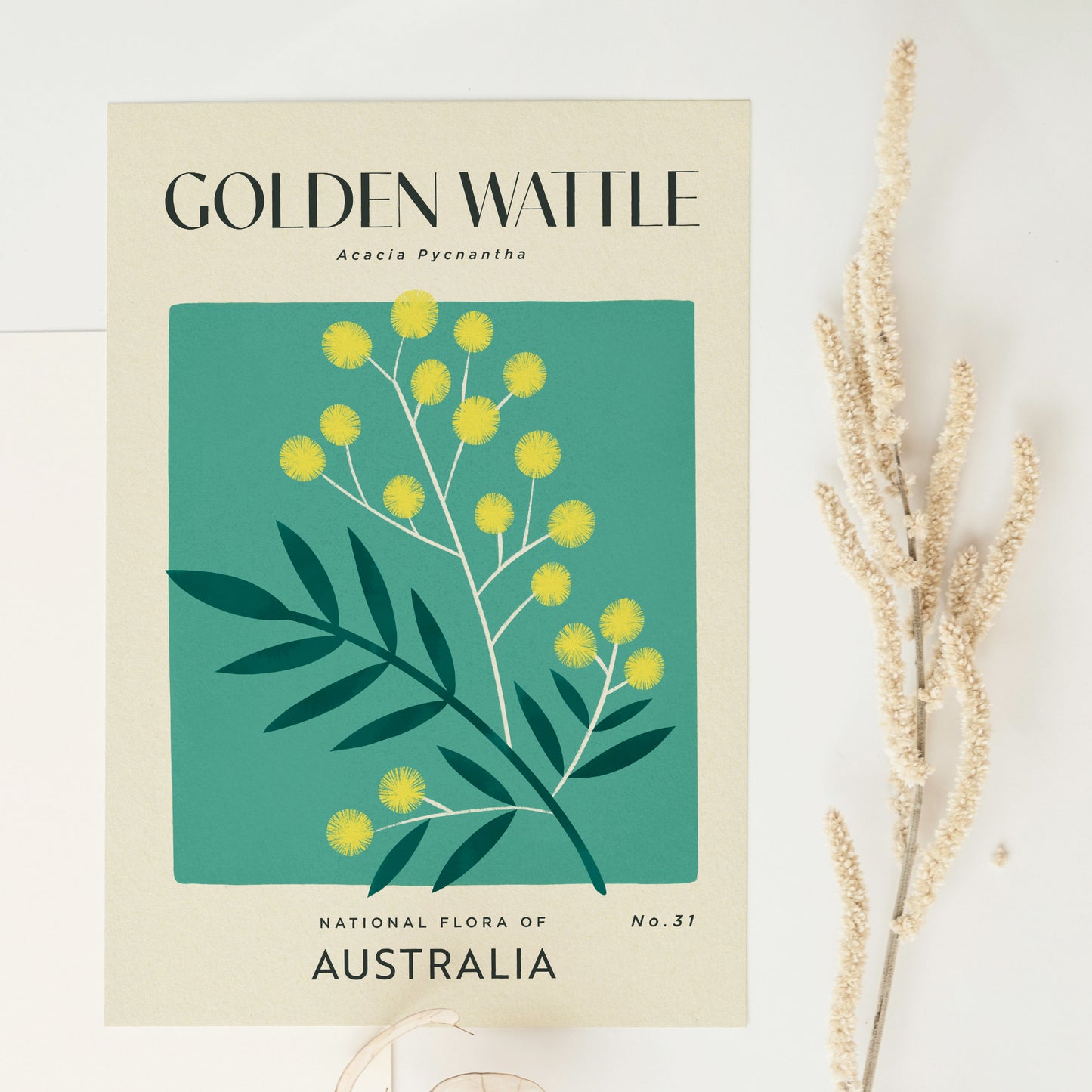 Golden Wattle of Australia Art Print