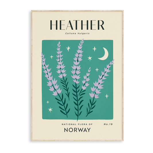 Heather of Norway Art Print