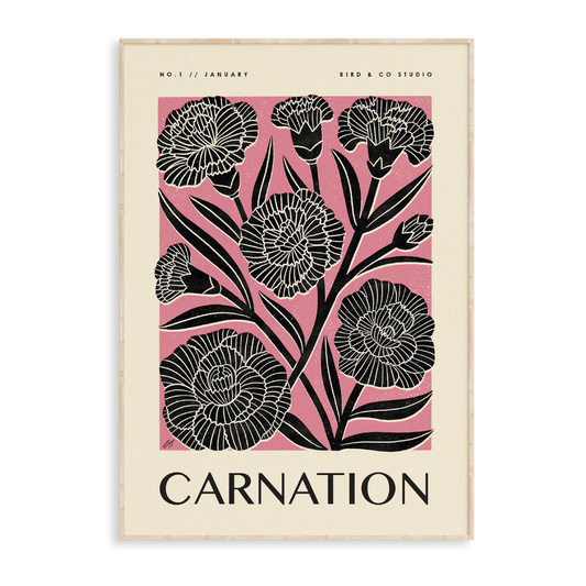January Carnation Art Print