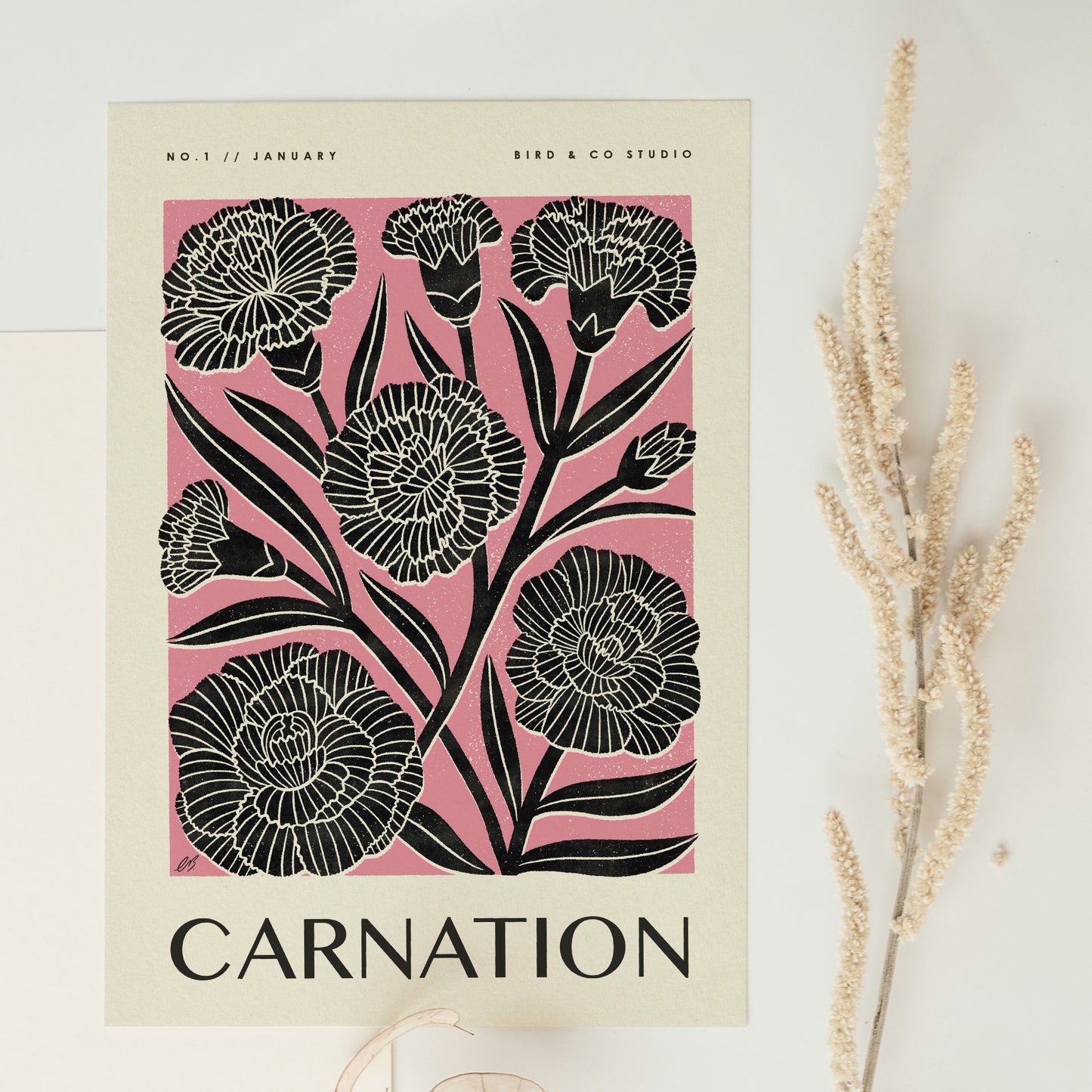 January Carnation Art Print