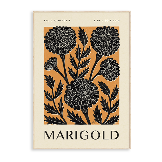 October Marigold Art Print