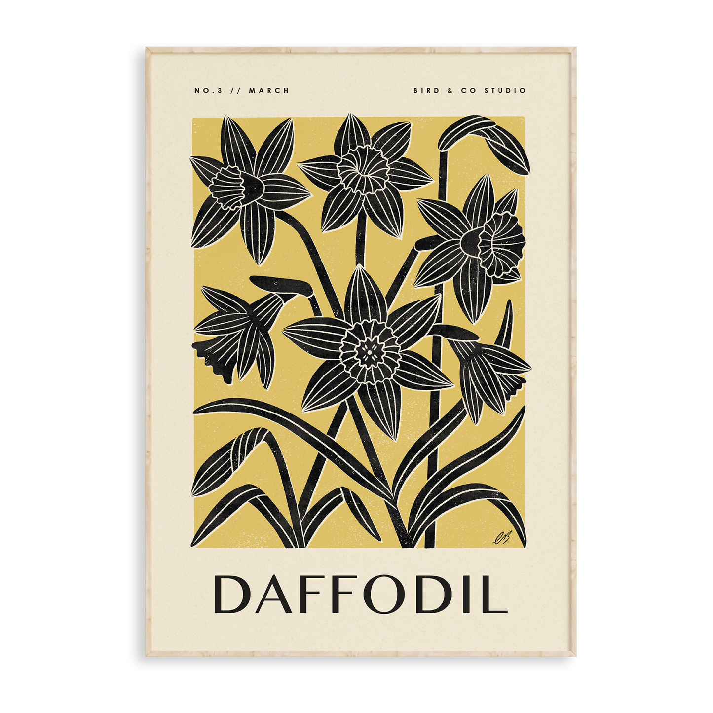 March Daffodil Art Print