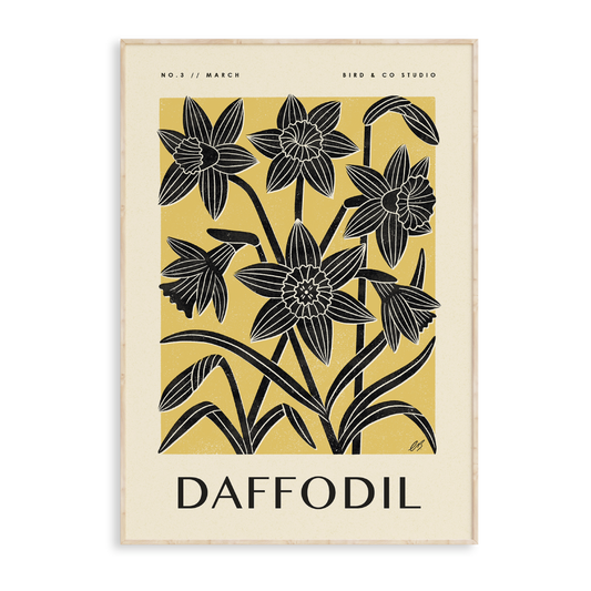 March Daffodil Art Print