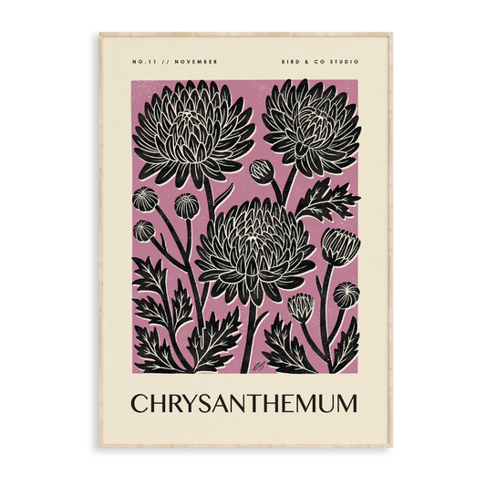 November Chrysanthemum Art Print