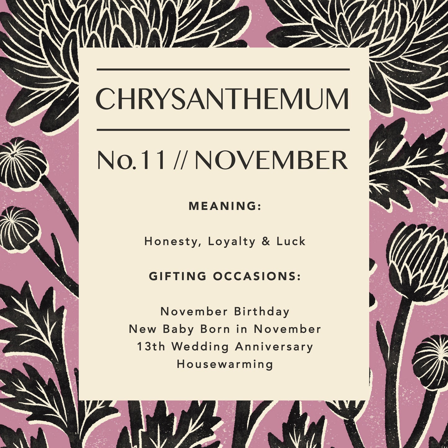 November Chrysanthemum Art Print