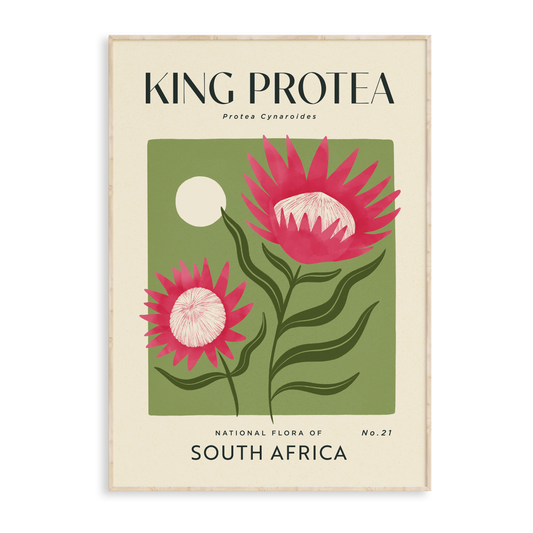 King Protea of South Africa Art Print