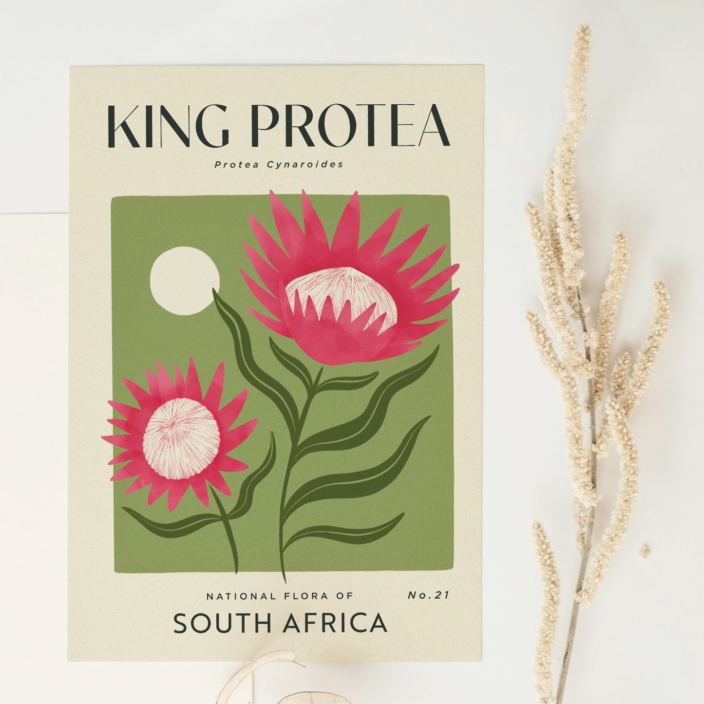 King Protea of South Africa Art Print