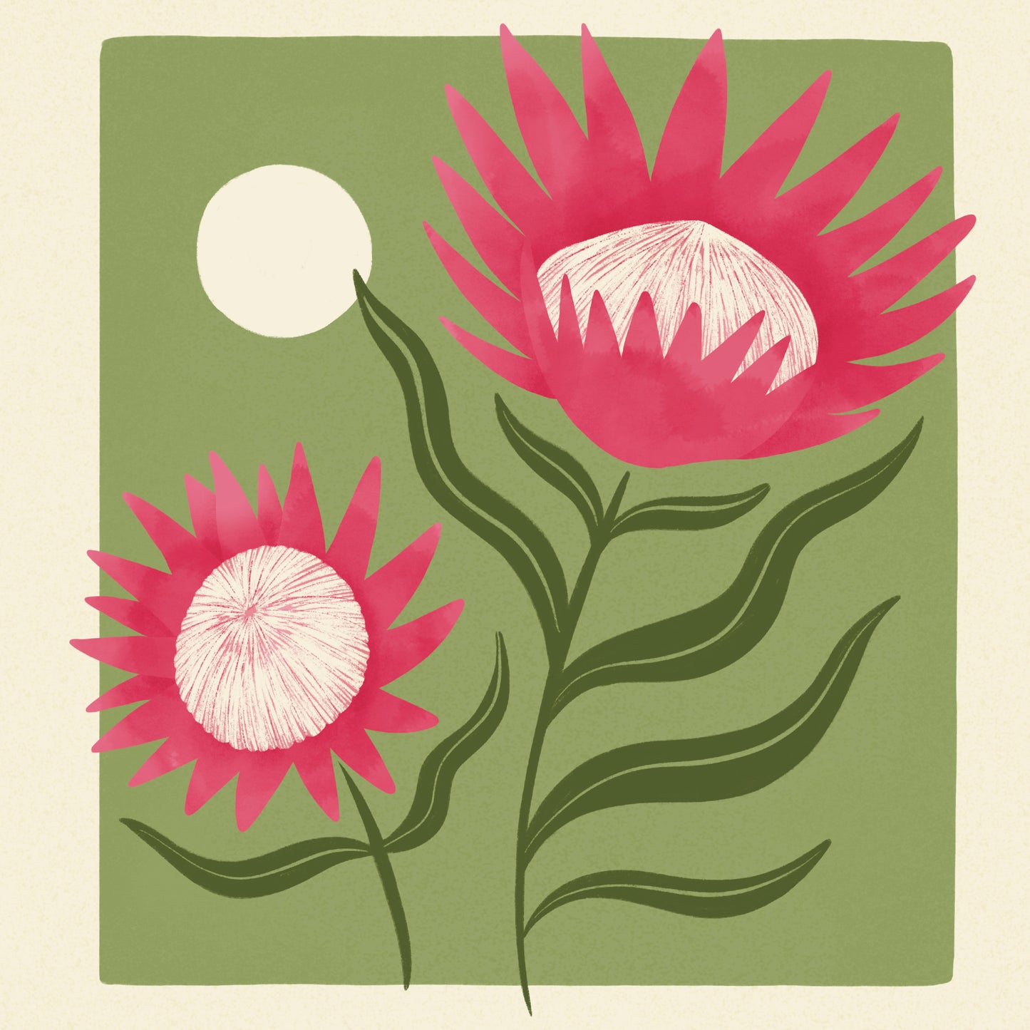 King Protea of South Africa Art Print