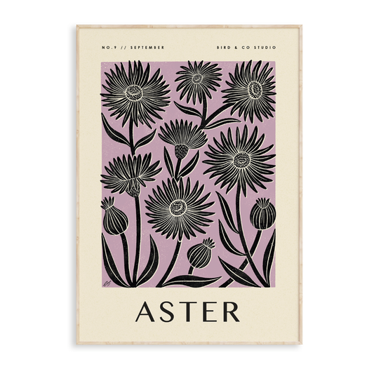 September Aster Art Print