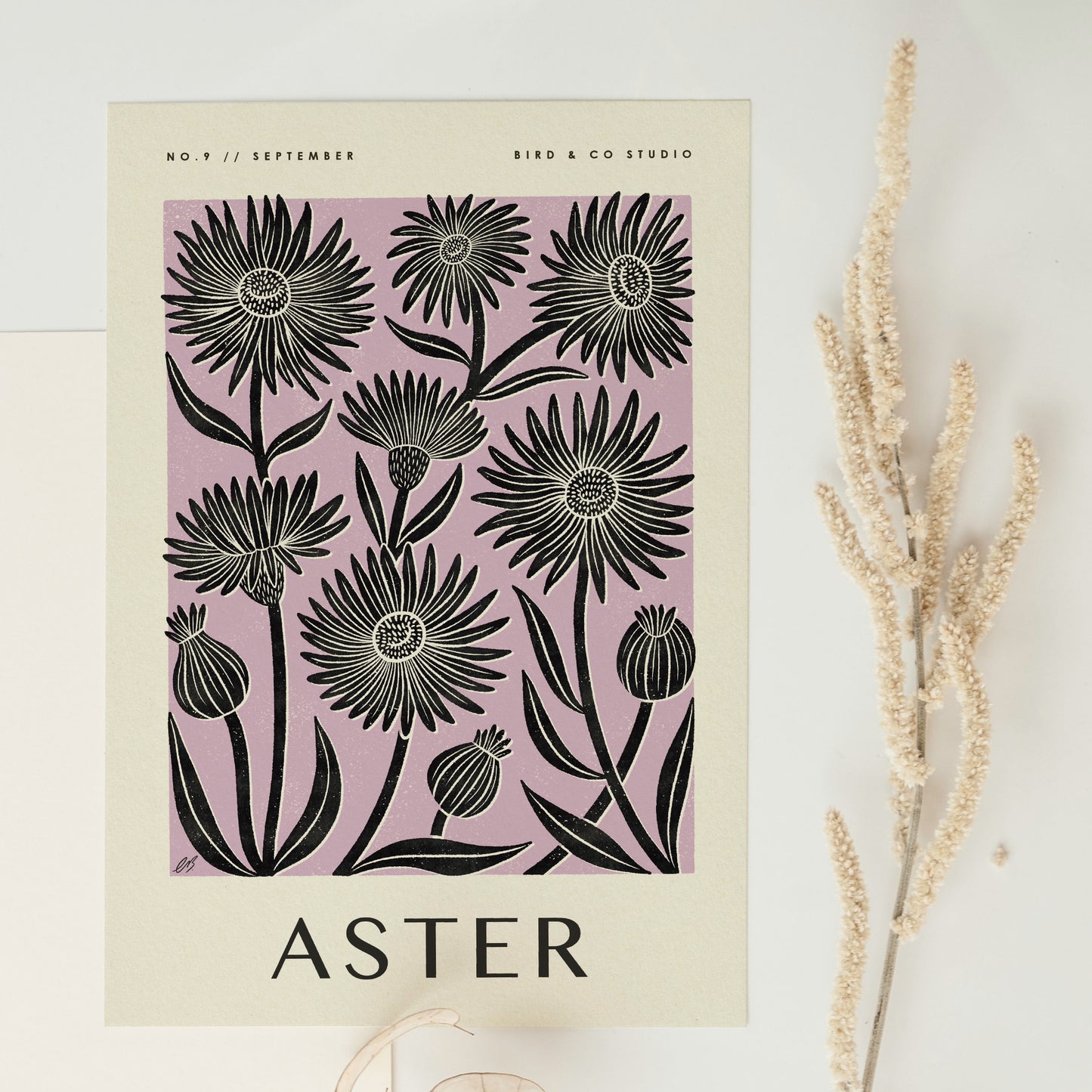 September Aster Art Print