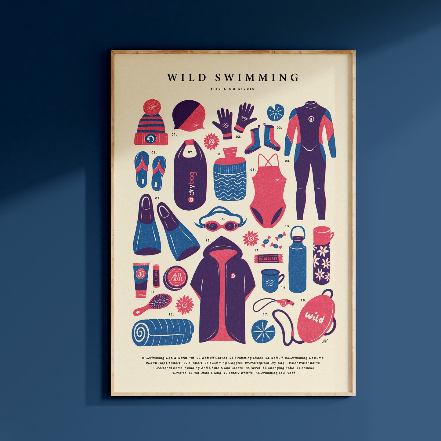 Wild Swimming Kit Art Print