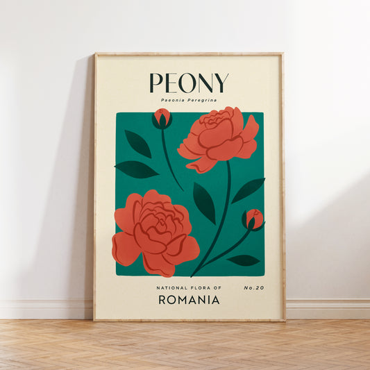 Peony of Romania Art Print