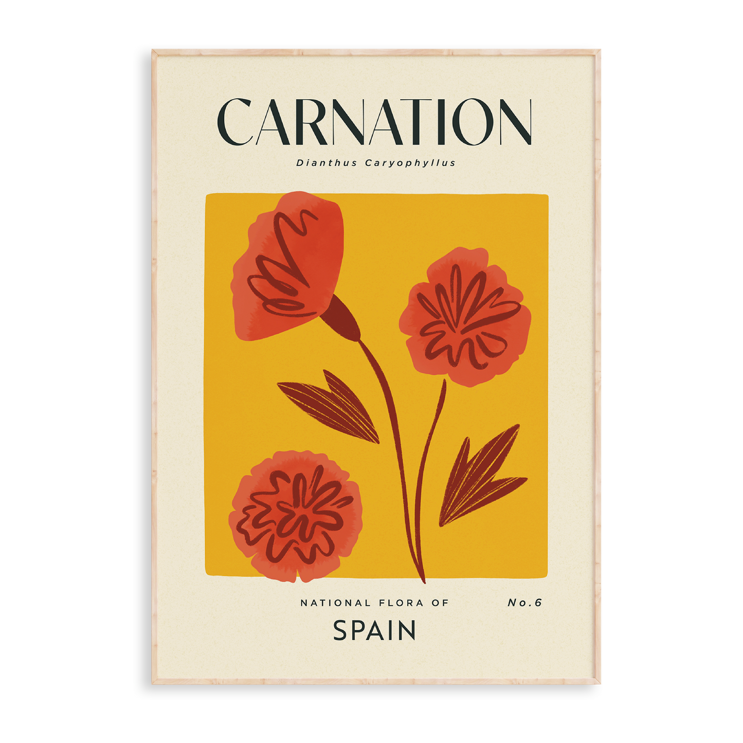 Carnation of Spain Art Print