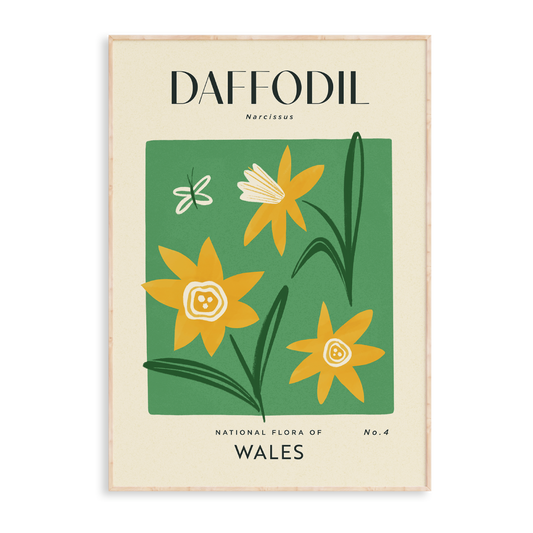 Daffodil of Wales Art Print