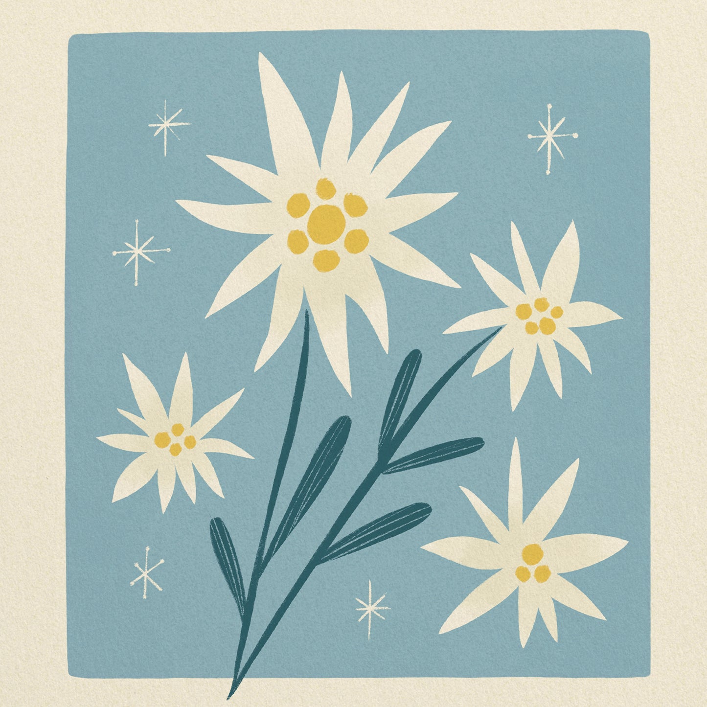 Edelweiss of Switzerland Art Print