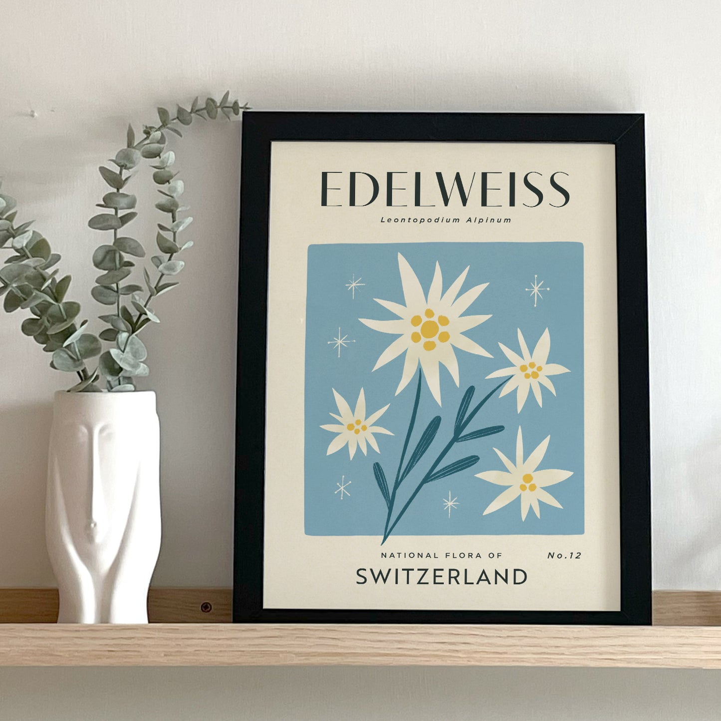 Edelweiss of Switzerland Art Print