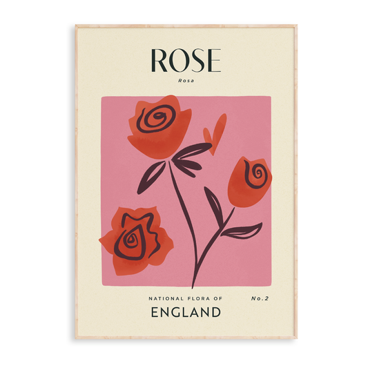 Rose of England Art Print