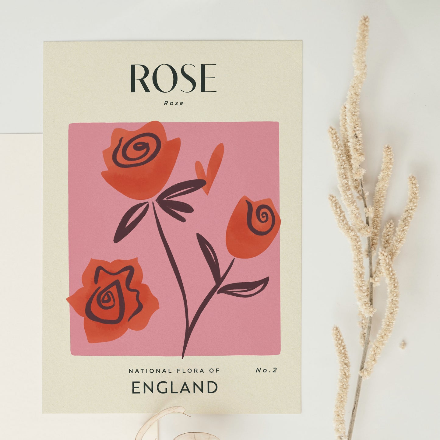 Rose of England Art Print