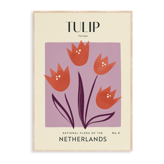 Tulip of The Netherlands Art Print