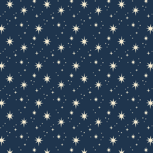 Star Gazer Christmas Eco Gift Wrap