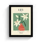Lily of Italy Art Print