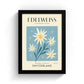Edelweiss of Switzerland Art Print