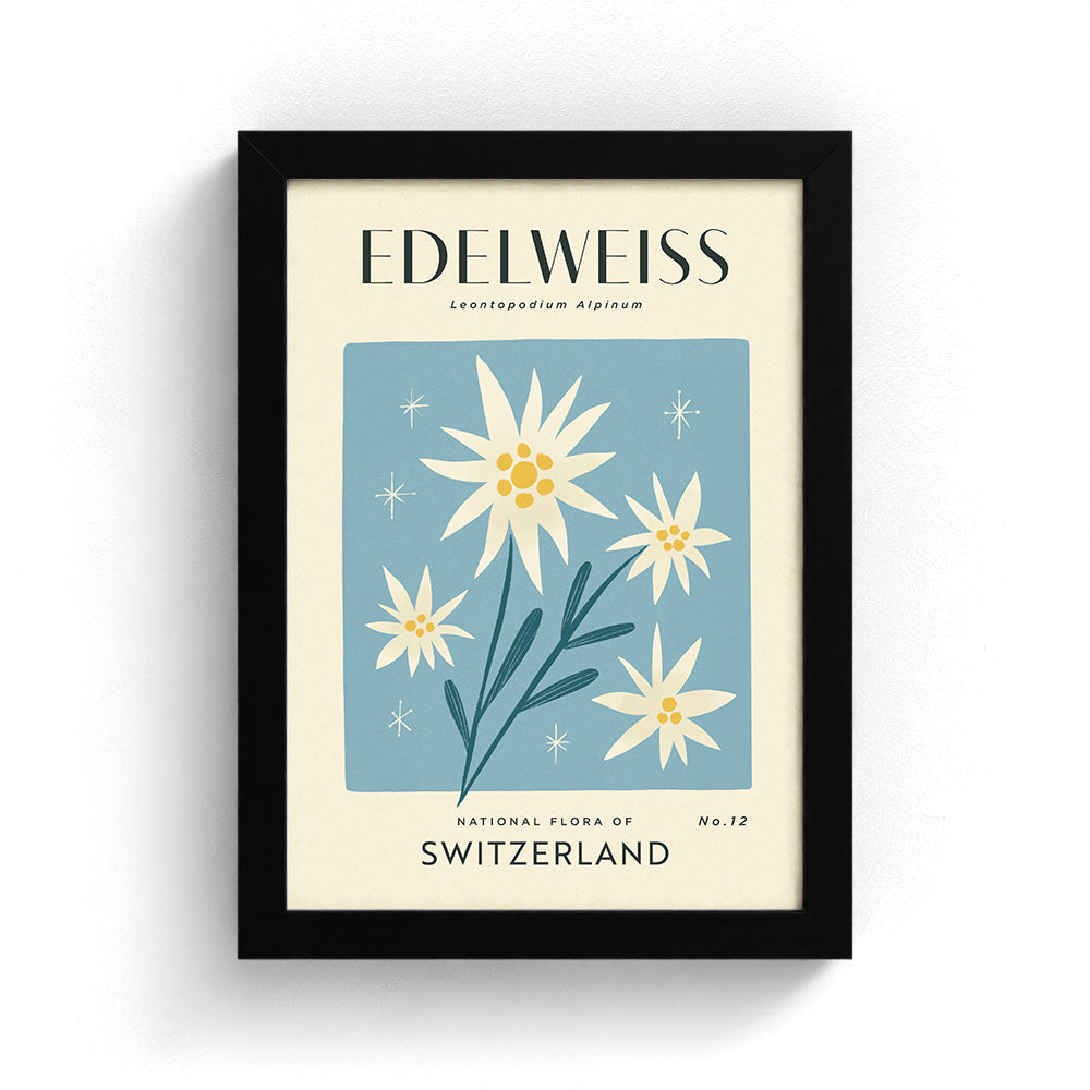 Edelweiss of Switzerland Art Print