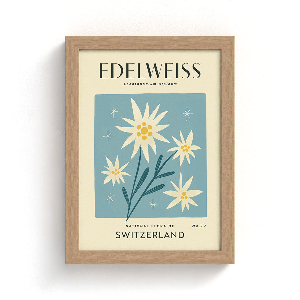 Edelweiss of Switzerland Art Print