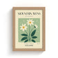 Mountain Avens of Iceland Art Print
