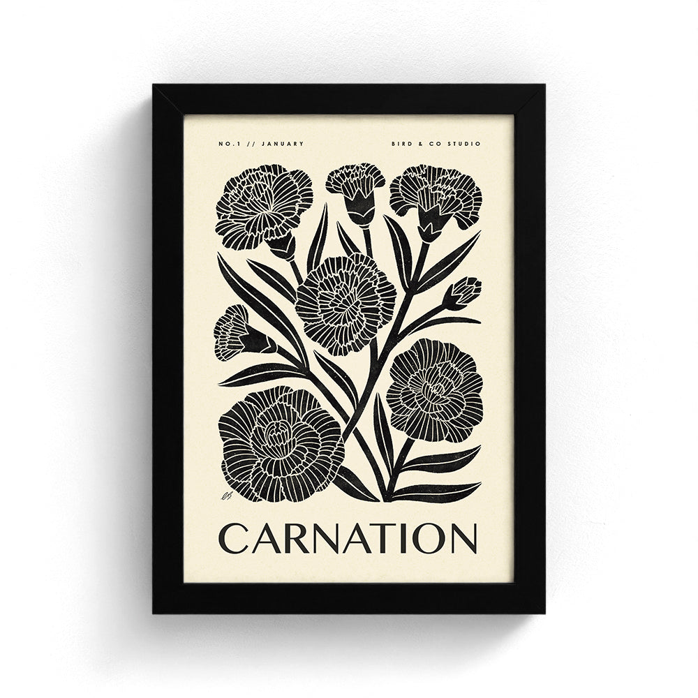 January Carnation Art Print