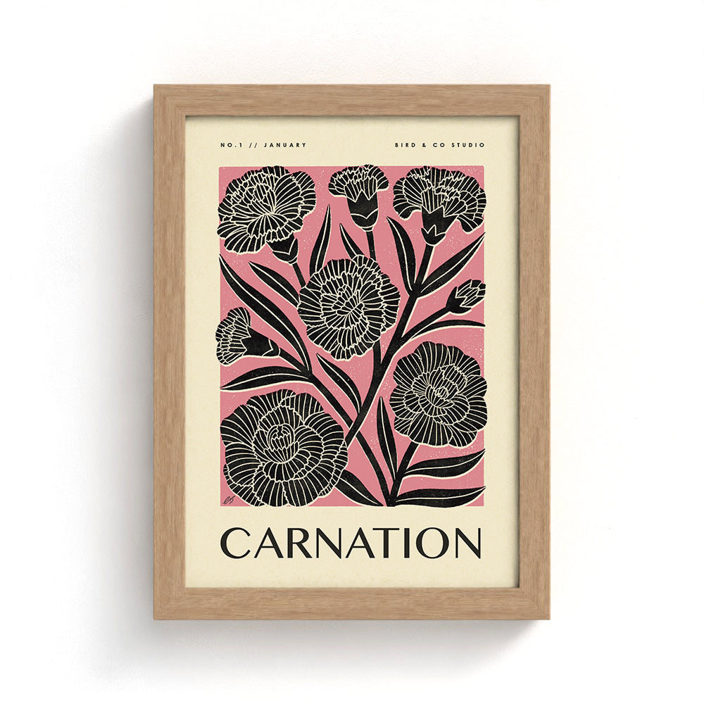 January Carnation Art Print