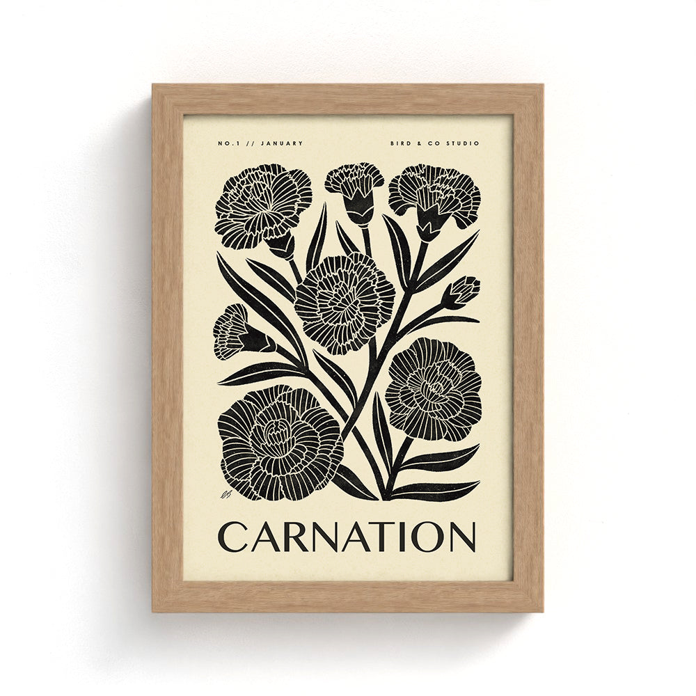 January Carnation Art Print