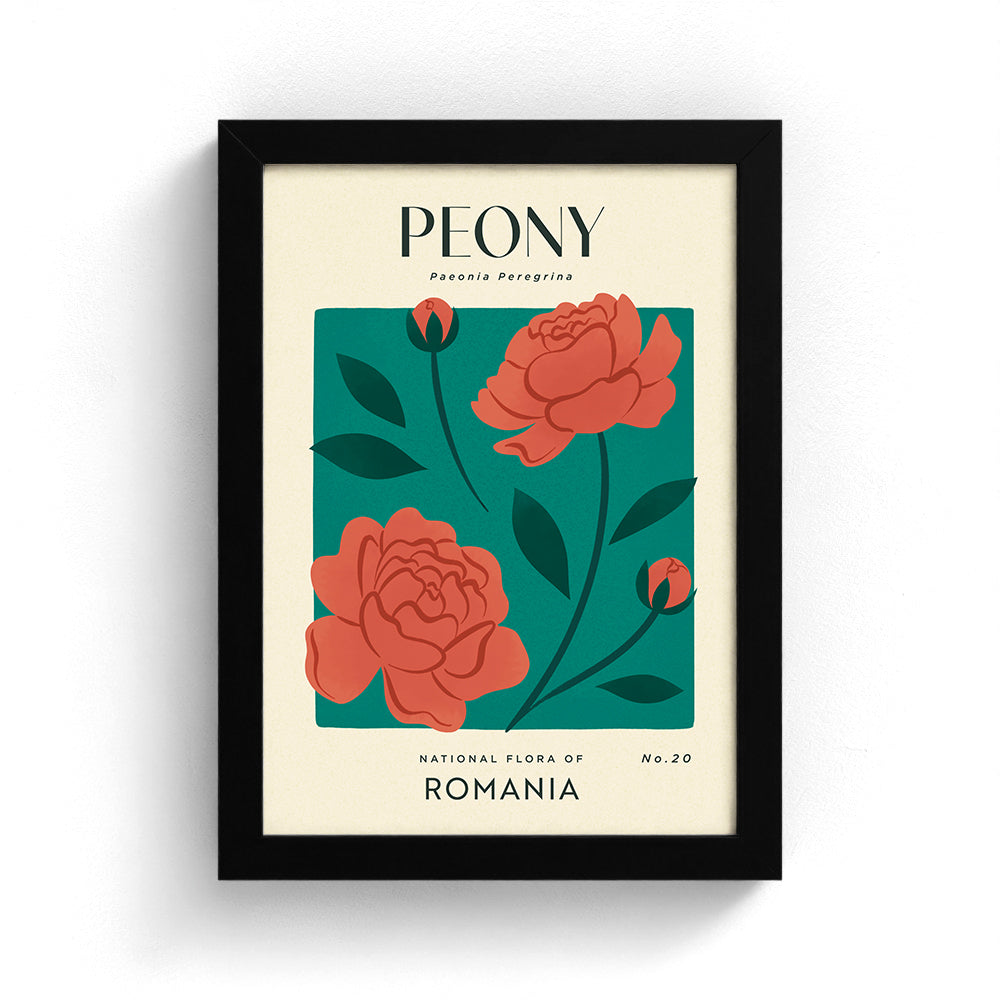 Peony of Romania Art Print