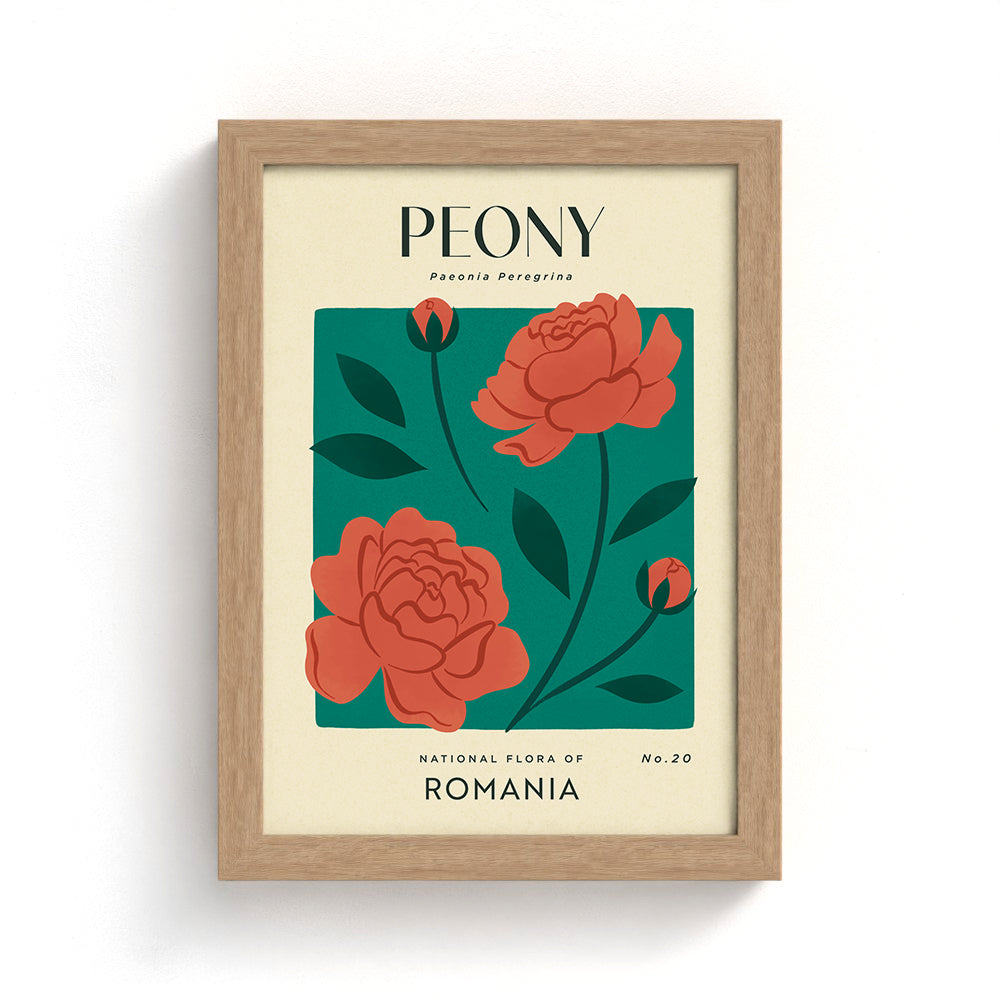 Peony of Romania Art Print
