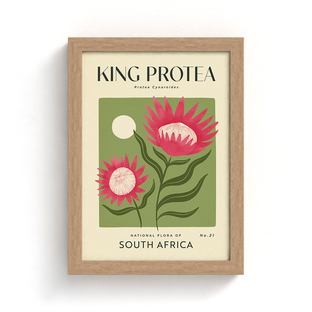 King Protea of South Africa Art Print