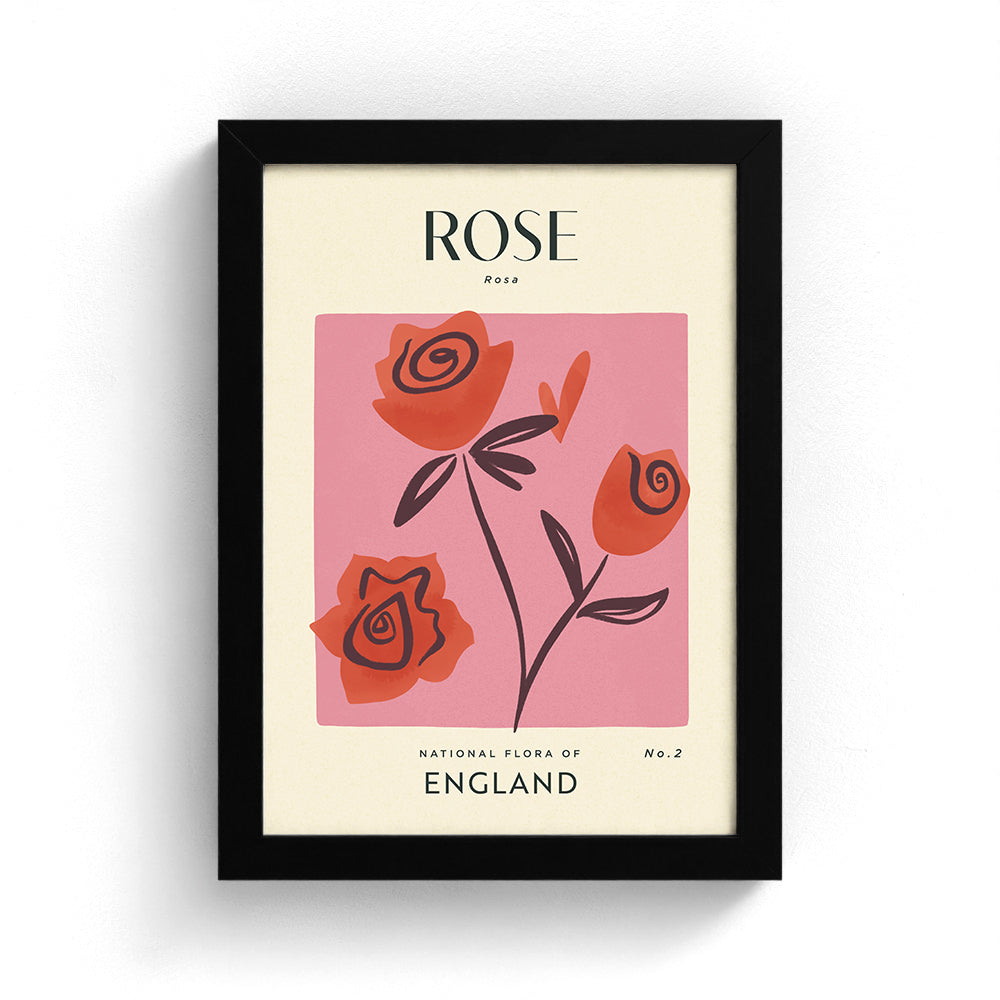 Rose of England Art Print