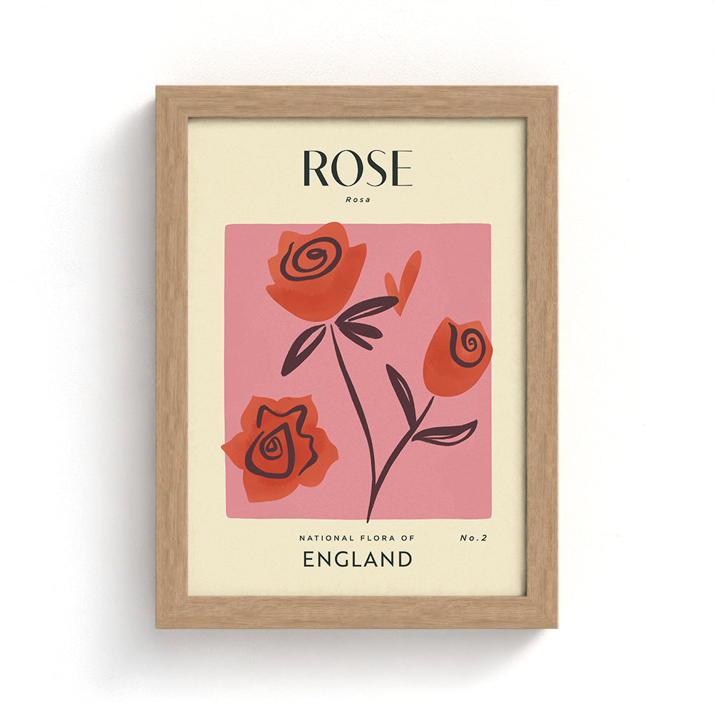 Rose of England Art Print